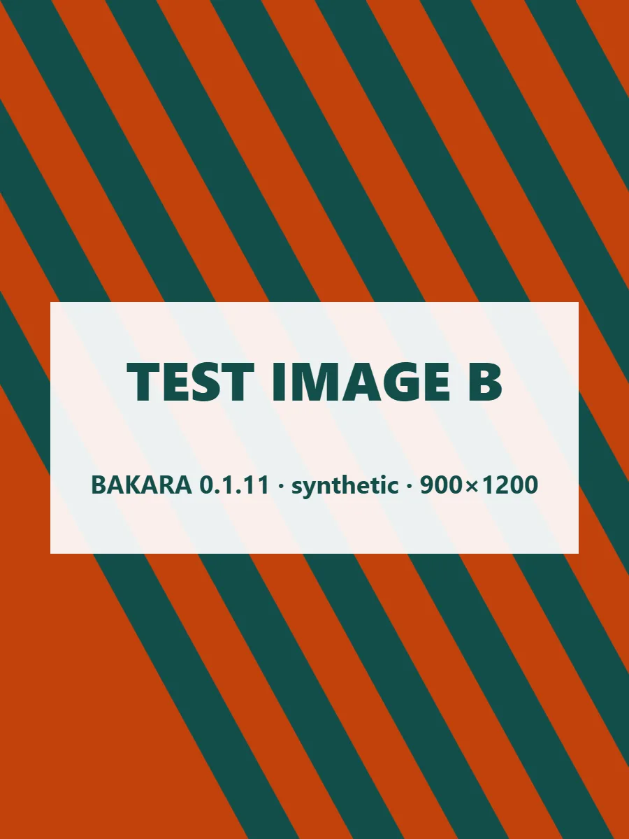 מודעת בדיקה ל-BAKARA 0.1.11 — שתי תמונות תמונה 2