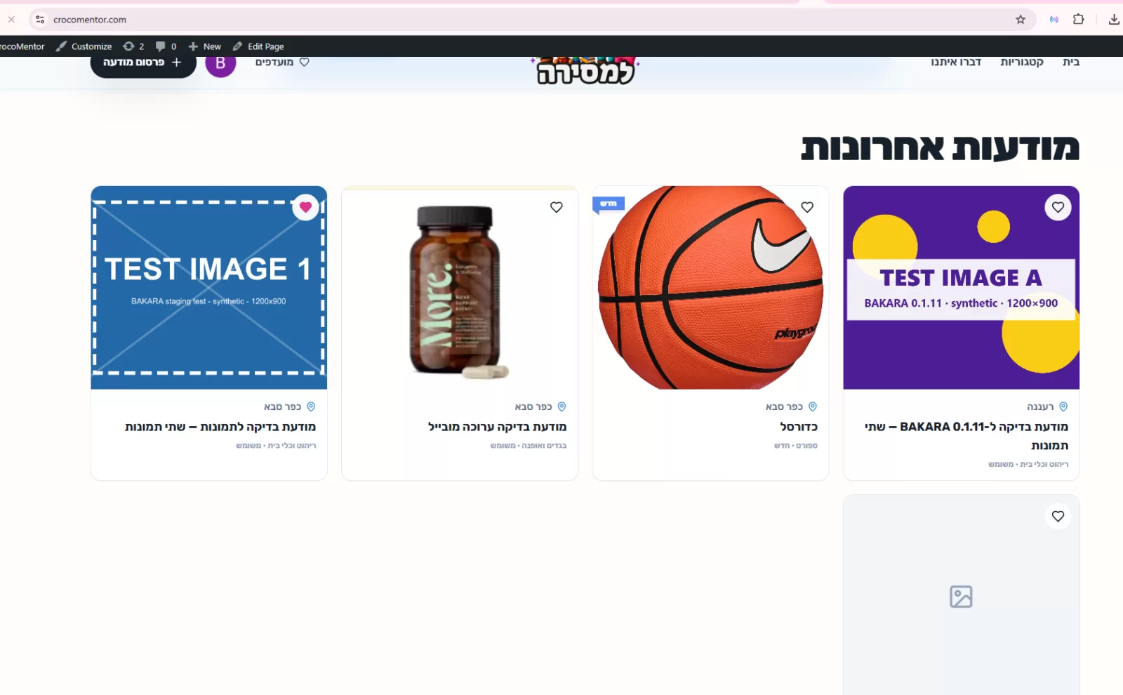 כדורסל תמונה 2